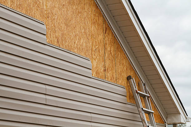 Professional Siding Repair technician working in Merritt Island, FL